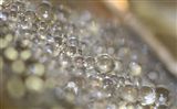 Water Droplets