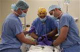 New Horizons 2014 exercise