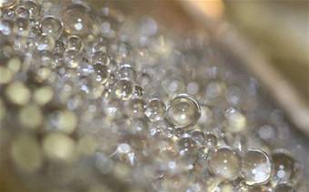 Water Droplets
