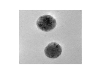 TEM images of ...