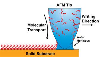 Schematic of ...